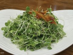 -云山茶餐厅(广东大厦店)
