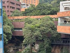 -香港大学