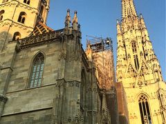 圣斯蒂芬大教堂-斯蒂芬主教座堂(Stephansdom)