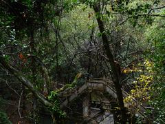 -宁波市保国寺古建筑博物馆