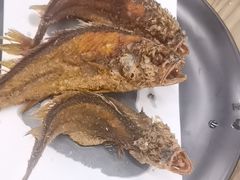 -蚝山·喷汽火山生蚝(前福路店)