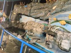 -横店影视城梦幻谷园区