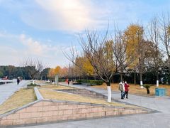 -金陵图书馆