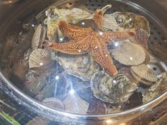 -福泉海码头(六里山店)