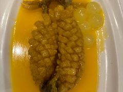松鼠桂鱼-福1088