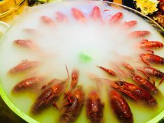 -红盔甲·小龙虾(天钥桥店)