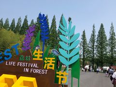 -黄海国家森林公园