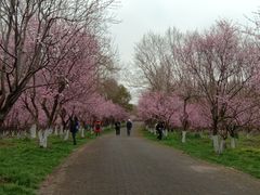 -上海海湾国家森林公园