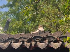 -秋霞圃