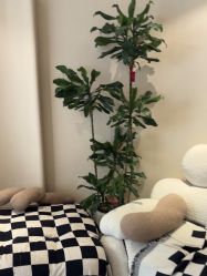 -KONSISTANT科思坦汀问题肌·科技美肤