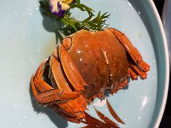 -梅飞酒家(桑园路店)