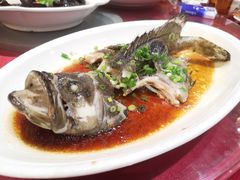 清蒸龙趸-金满楼(天河中路店)
