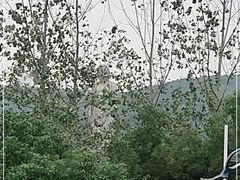 -灵福缘私房菜·农家菜(拈花湾·灵山大佛必推店)