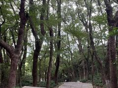 -宁波市保国寺古建筑博物馆