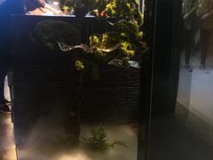 -鼎盛蜀坊·重庆江湖菜(市桥地铁站店)