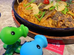 -老板恋上鱼(恒隆广场店)