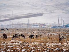 -青海湖国家重点风景名胜区