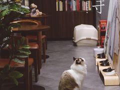 -咖法森林·咖啡  酒吧(天河店)