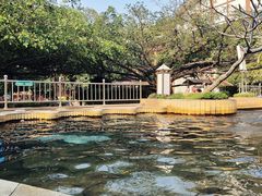 -江门古兜温泉小镇
