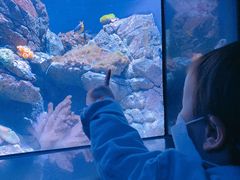 -成都浩海立方海洋公园