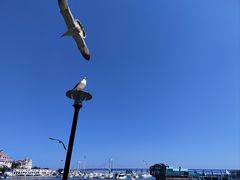 -大连圣亚海洋世界