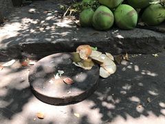 -农厨好味·温泉鹅·农家菜