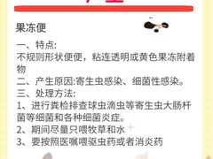 -猫猫幼稚园·撸猫·桌游·电玩