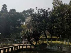 -南山植物园