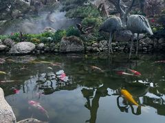 -罗红摄影艺术馆