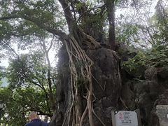 -星湖旅游景区七星岩
