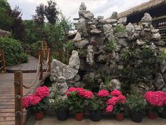 -二荆条·蜀鲜汇城市森林火锅