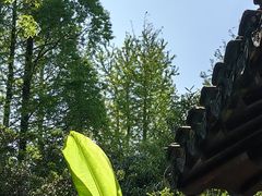 -秋霞圃