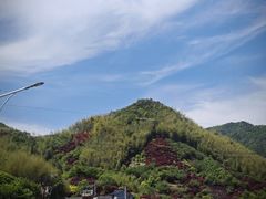 -四明山国家森林公园