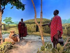 -国家自然博物馆