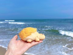 -广东惠东海龟国家级自然保护区