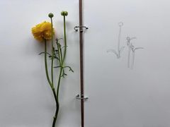 -八哥美术·成人美术画室(总校区)