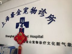 -睿金宠物医院·CT·肿瘤·骨外科