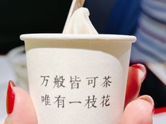 -茶是一枝花泡茶店