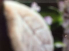 -海底捞火锅(万象城店)