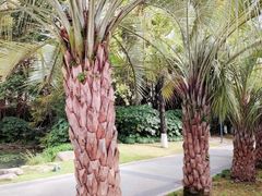 -苏州河梦清园环保主题公园