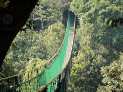 -云南屏边大围山国家公园