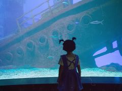 -福州罗源湾海洋世界旅游区