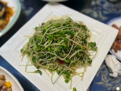 蒜蓉豆苗-鲁城往事(游客中心店)