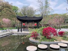 -雨花胜境