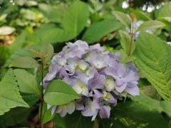 -呈贡滇池生态湿地公园