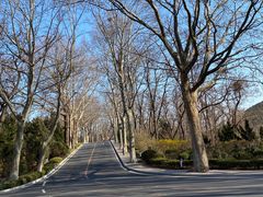 -棒棰岛宾馆景区