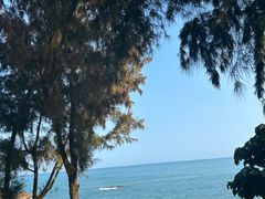 -广东惠东海龟国家级自然保护区