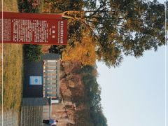 -冶山国家矿山公园
