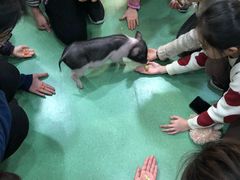 -藦茜花园宠物主题亲子互动体验馆(国顺东路店)