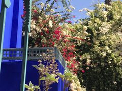 -马洛雷勒花园